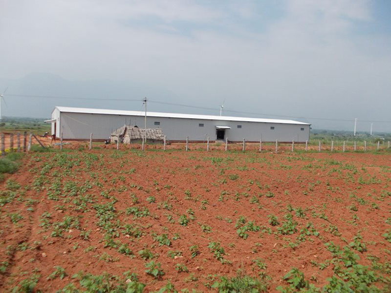 LK Roofing Solutions.